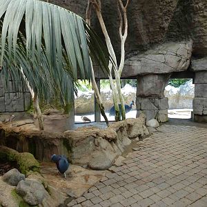 Indoor aviary, July 2013.