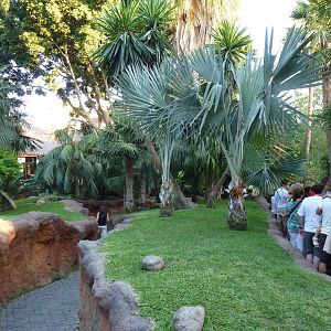 Lemur walkthrough, July 2013.