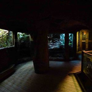 Reptile area, July 2013.