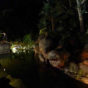 Madagascar moat, looking towards flamingos, July 2013.