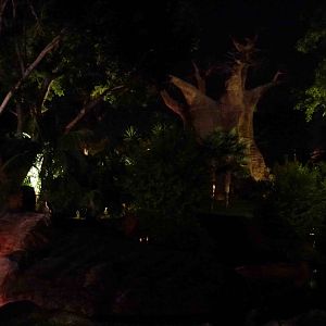 Madagascar by night, July 2013.