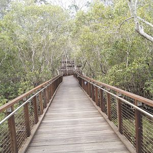 Boardwalk leading to entrance