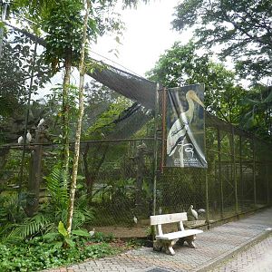 Painted stork aviary, May 2013.
