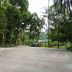 Path through zoo, May 2013.