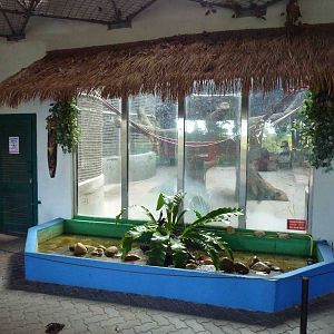 Orangutan viewing window, May 2013.
