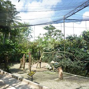 Inside a painted stork aviary, May 2013.