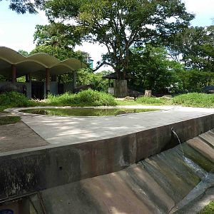 Part of the elephant enclosure, May 2013.