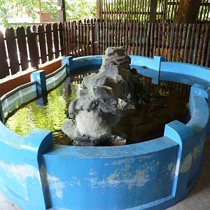 Toad enclosure, May 2013.