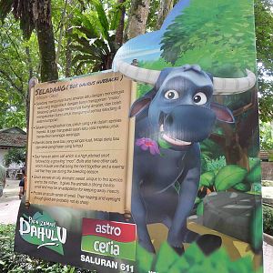 Gaur sign, May 2013.