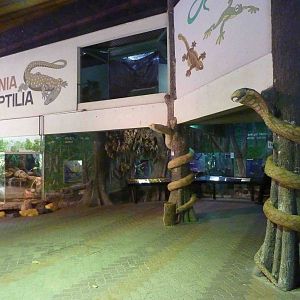 Reptile complex, May 2013.