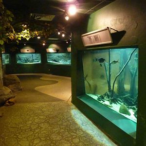 Inside the aquarium, May 2013.