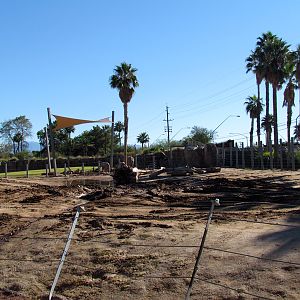 Expedition Tanzania - African Bush Elephant Enclosure