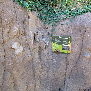 Expedition Tanzania - Artificial Bee Eater Nests