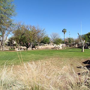 Southern White Rhinoceros and Speke's Gazelle Exhibit