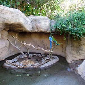 Macaw Exhibit