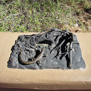 Entrance Lizard Exhibit - Sculpture
