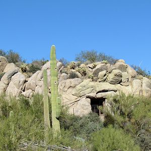 Desert Loop Trail