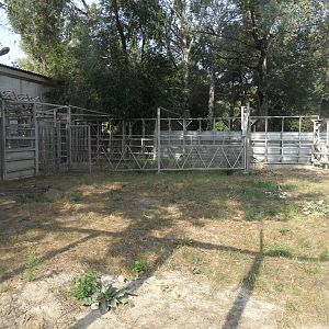 Temporary elephant yard