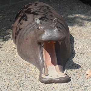 Very incorrect hippo sculpture - front view