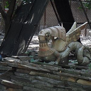 Harpy sculpture at crowned crane exhibit