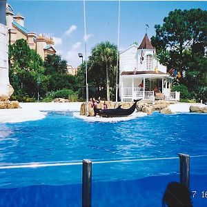Jul. 2002 - Key West Dolphin Stadium - False Killer Whale