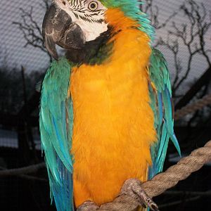 Sewerby Zoo, Monty 19th December 2013