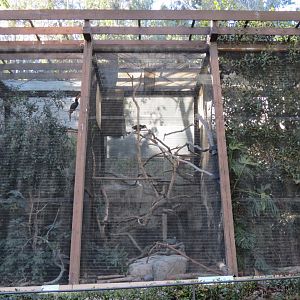 Asian Passage - Hornbill Aviaries