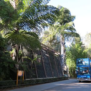 Asian Passage - Hornbill Aviaries
