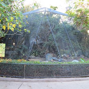 Asian Passage - Bird Exhibit