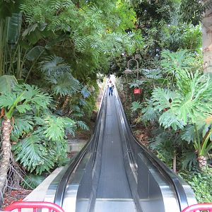 Asian Passage - Moving Walkway Up To Elephant Odyssey