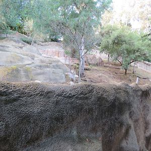 Asian Passage - Southern Gerenuk and Southern Warthog Exhibit