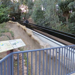Asian Passage - Southern Gerenuk and Southern Warthog Exhibit