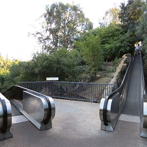 Asian Passage - Moving Walkway Up To Elephant Odyssey