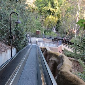 Asian Passage - Moving Walkway Up To Elephant Odyssey