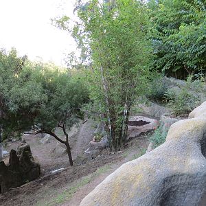 Asian Passage - Southern Gerenuk and Southern Warthog Exhibit