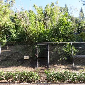Asian Passage - Western Tufted Deer Exhibit