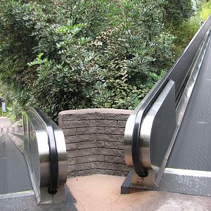 Asian Passage - Moving Walkway Up To Lost Forest