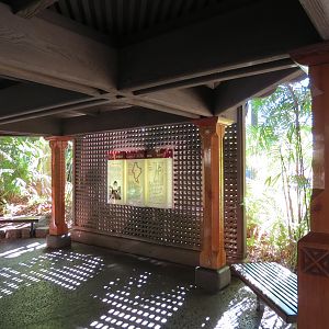 Asian Passage - Sun Bear Forest - Lion-tailed Macaque Exhibit
