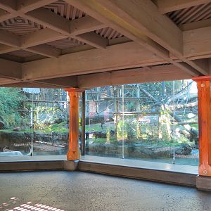Asian Passage - Sun Bear Forest - Lion-tailed Macaque Exhibit