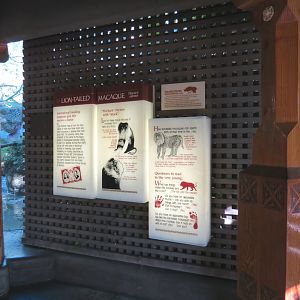 Asian Passage - Sun Bear Forest - Lion-tailed Macaque Exhibit