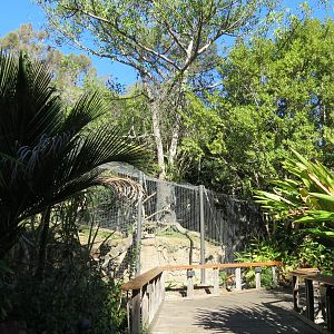 Asian Passage - Sun Bear Forest - Lion-tailed Macaque Exhibit