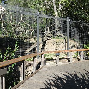 Asian Passage - Sun Bear Forest - Lion-tailed Macaque Exhibit