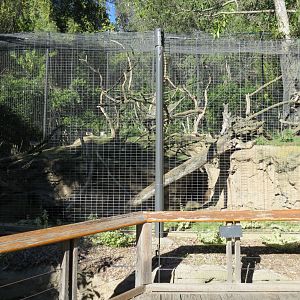 Asian Passage - Sun Bear Forest - Lion-tailed Macaque Exhibit