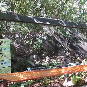 Asian Passage - Sun Bear Forest - Bird Exhibit