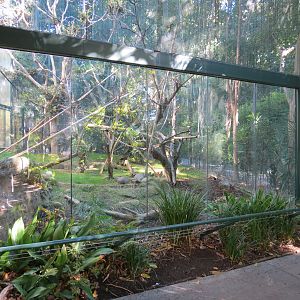 Asian Passage - Sun Bear Forest - Francois Langur Exhibit