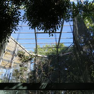 Asian Passage - Sun Bear Forest - Francois Langur Exhibit