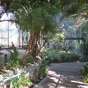 Asian Passage - Sun Bear Forest - Francois Langur Exhibit