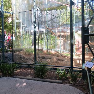 Asian Passage - Sun Bear Forest - Francois Langur Exhibit