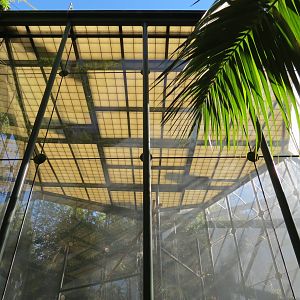 Asian Passage - Sun Bear Forest - Francois Langur Exhibit