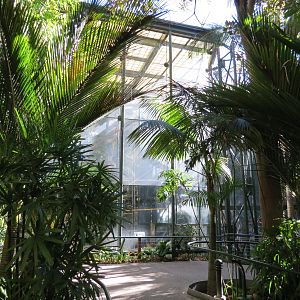 Asian Passage - Sun Bear Forest - Francois Langur Exhibit